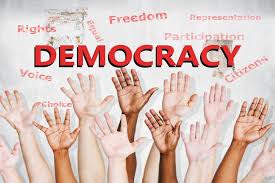 What Are The Different Types And Forms Of Democracy?